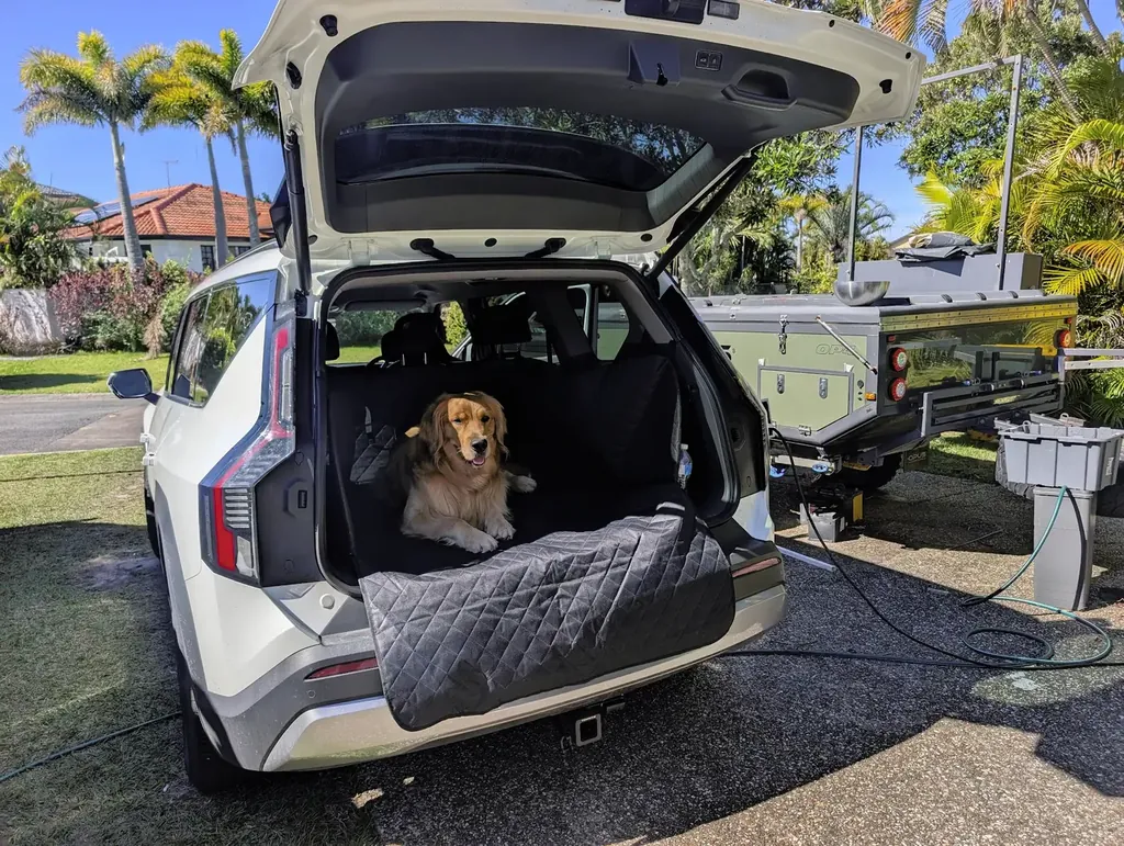 A golden retriever lying in the fitted, quilted boot of the white EV9 with the tailgate open.