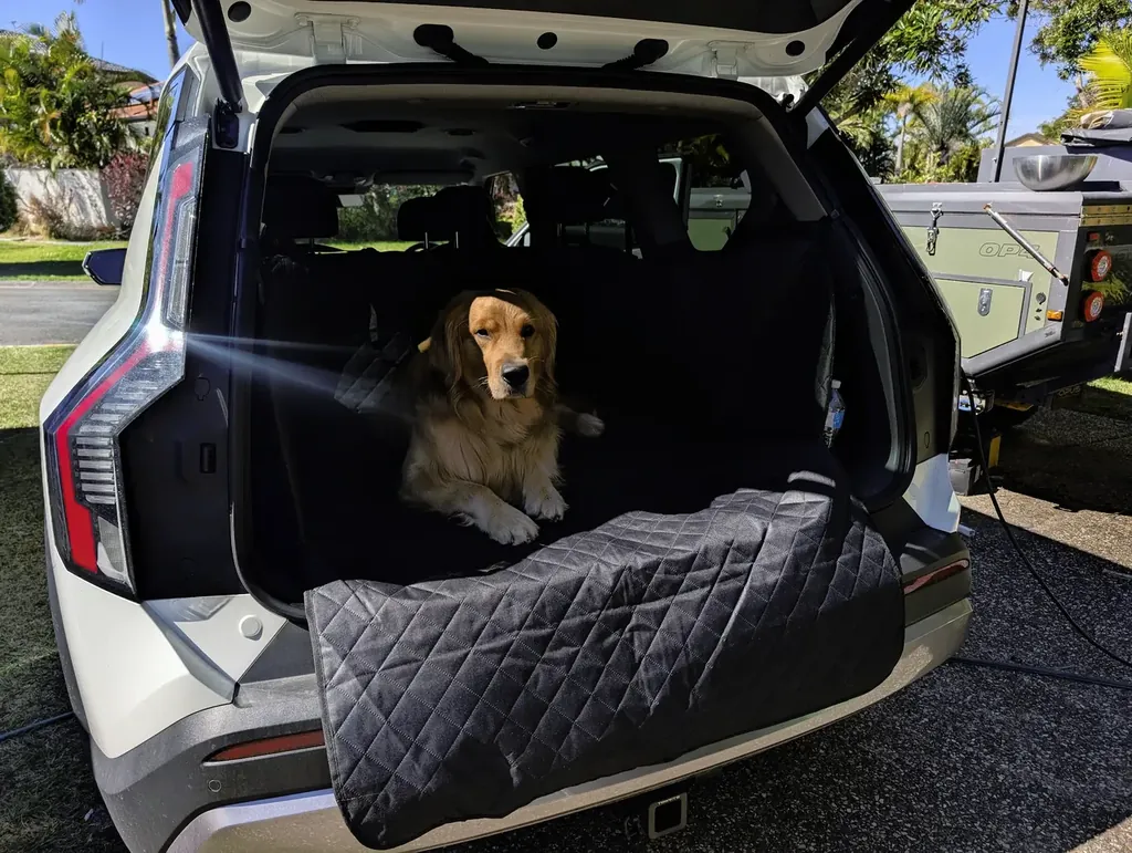 Close up: the golden retriever lying in the EV9’s boot on the quilted liner, with the flap folded down over the bumper.