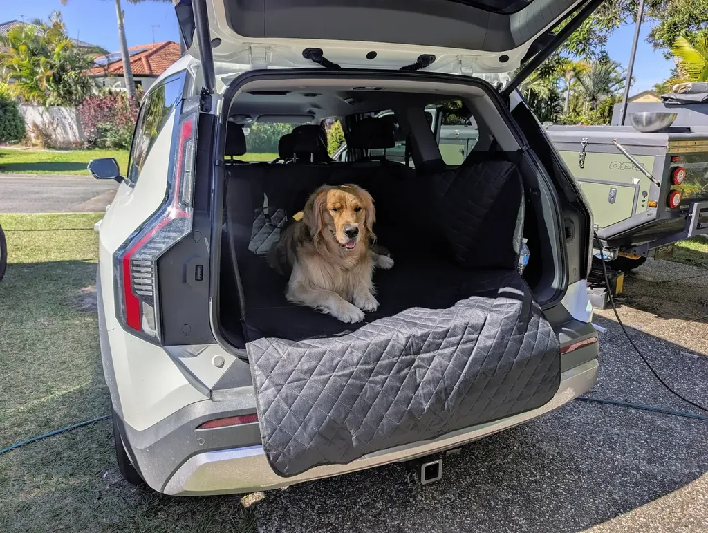The golden retriever lying in the EV9’s boot, showing the liner up the sides and the flap covering the bumper.